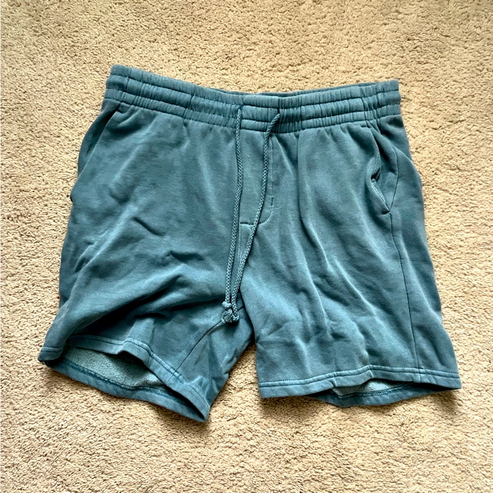 Pacsun Powder Blue Mens Small Shorts
